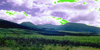 flynow1.gif (105605 bytes)